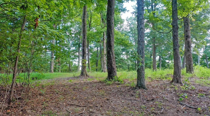 7659 Burks Rd, Christiana, TN 37037