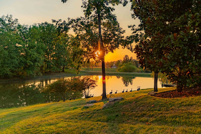 8201 Jolene Dr, College Grove, TN 37046