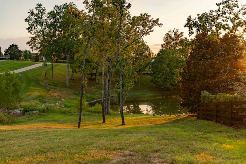 8201 Jolene Dr, College Grove, TN 37046