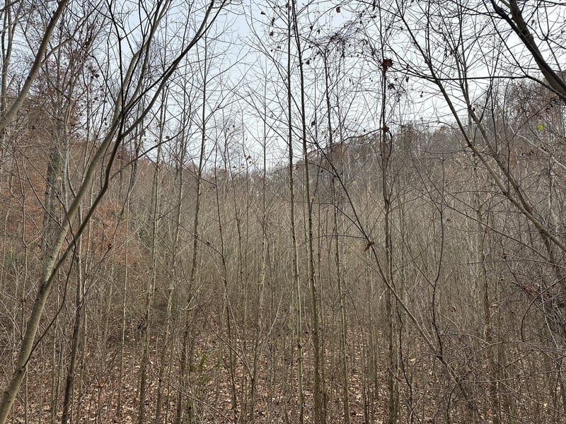 216 Happy Hollow Rd, Goodlettsville, TN 37072