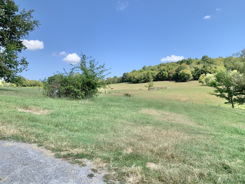 198 Pigeon Roost Rd, Brush Creek, TN 38547
