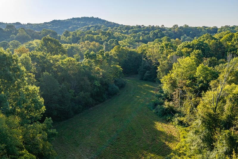0 Choctaw Rd Lot 3, College Grove, TN 37046