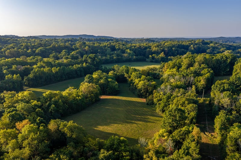 0 Choctaw Rd Lot 3, College Grove, TN 37046