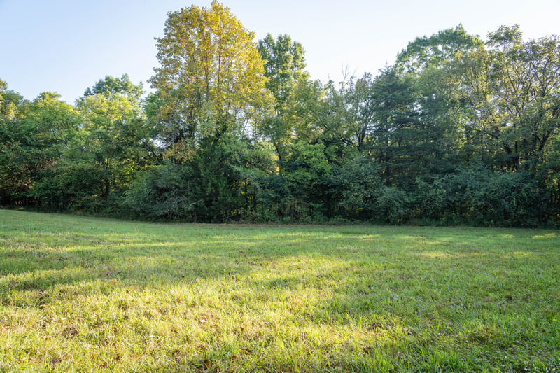 0 Choctaw Rd Lot 3, College Grove, TN 37046