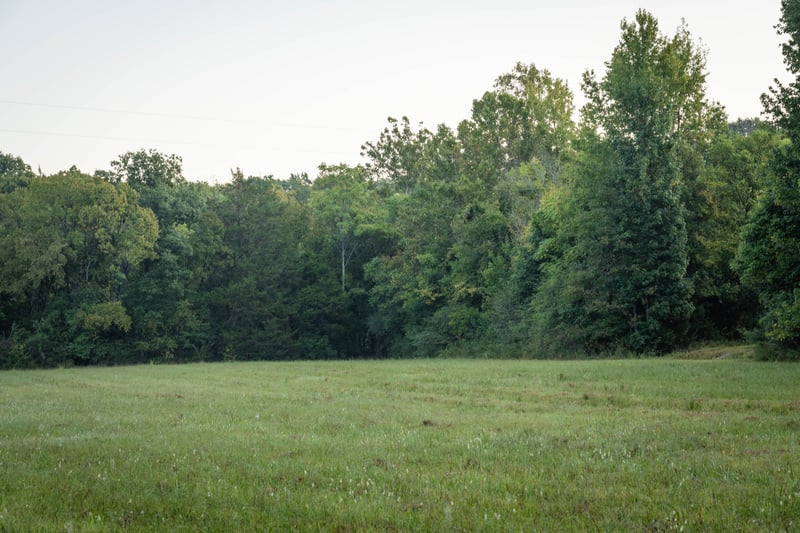 0 Choctaw Rd Lot 4, College Grove, TN 37046