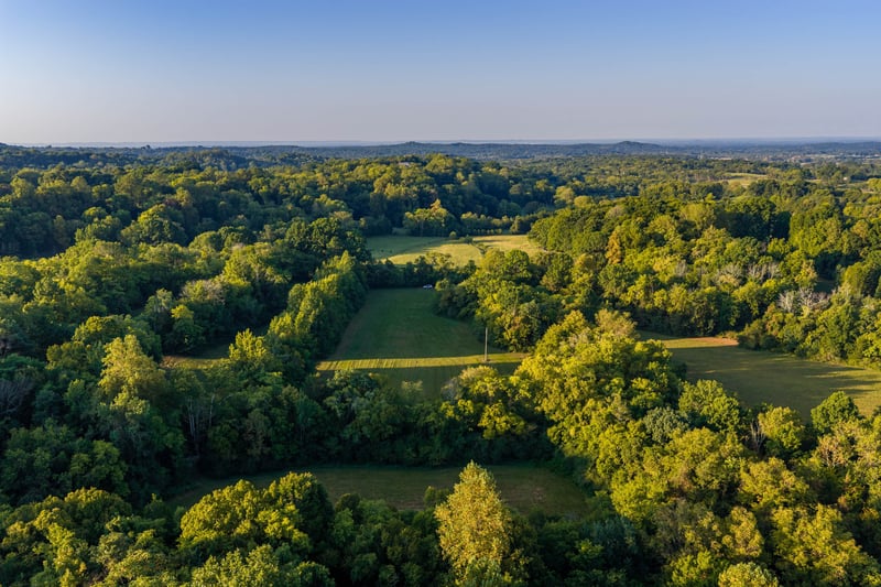 0 Choctaw Rd Lot 4, College Grove, TN 37046