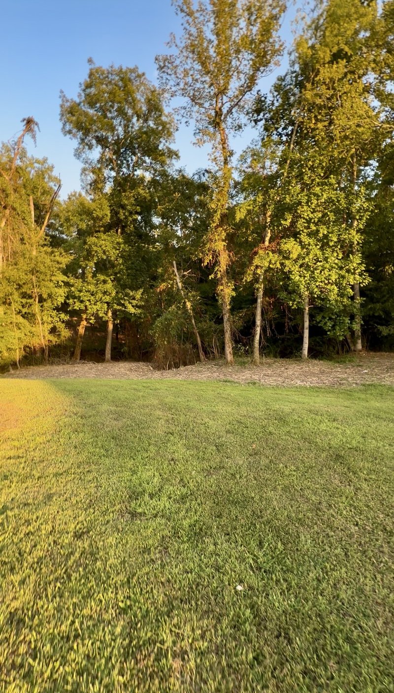 1 Welty Ln, Mount Juliet, TN 37122
