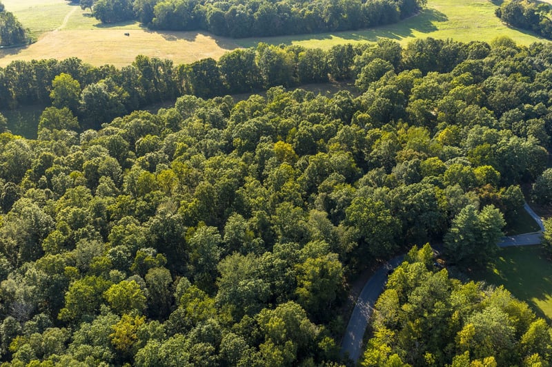 0 Matlock Rd Lot 1, Charlotte, TN 37036