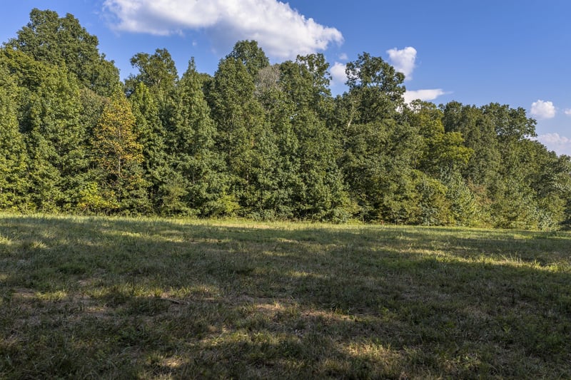 0 Matlock Rd Lot 3, Charlotte, TN 37036
