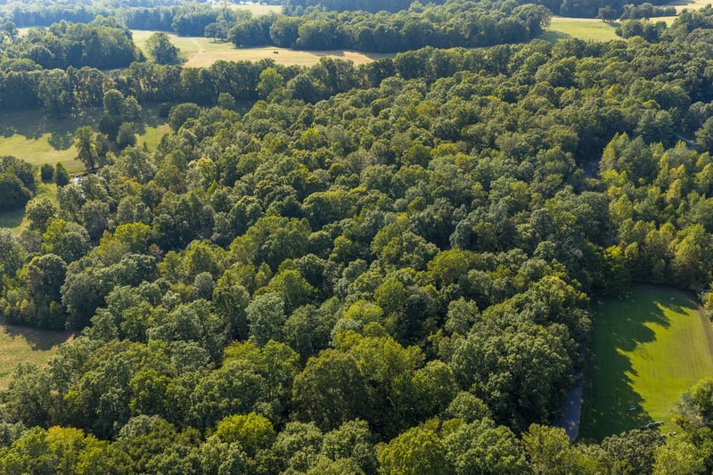 0 Matlock Rd Lot 3, Charlotte, TN 37036