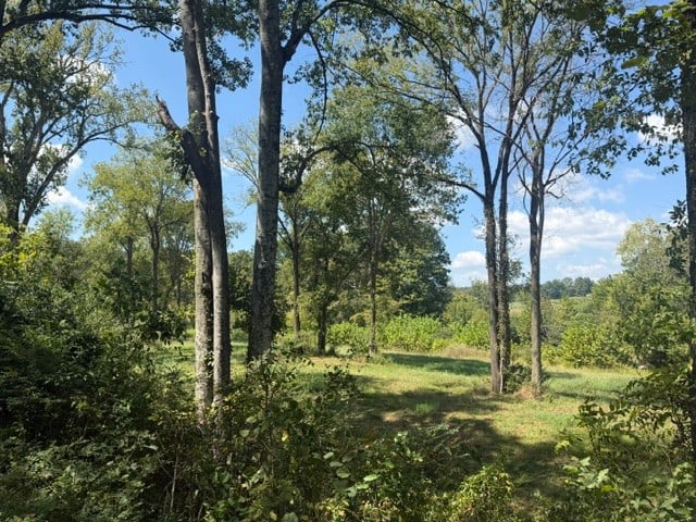 0 Stayton Rd, Cumberland Furnace, TN 37051
