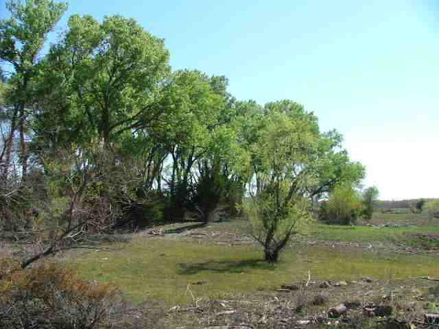 0 Trail West Rd & ANDREA, Plevna, KS 67568