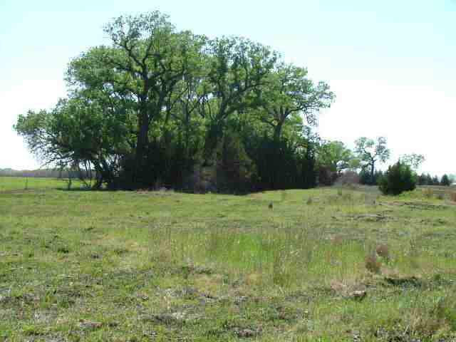 0 Trail West Rd & ANDREA, Plevna, KS 67568