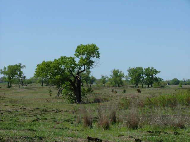 0 Trail West Rd & ANDREA, Plevna, KS 67568