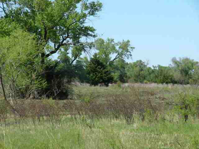 0 Trail West Rd & ANDREA, Plevna, KS 67568