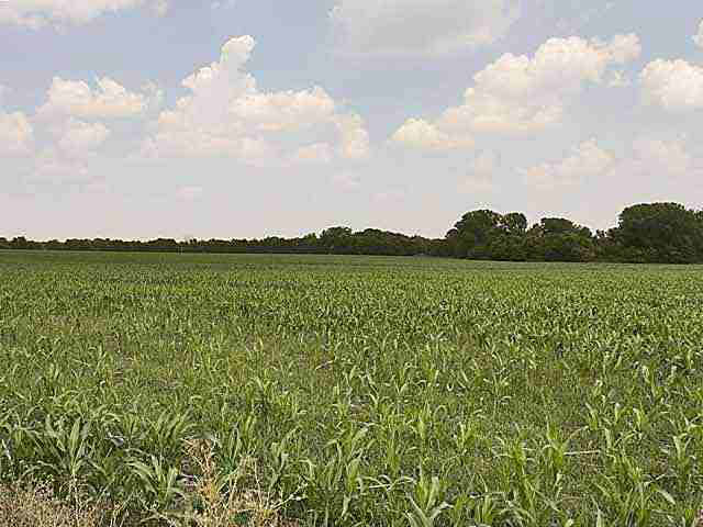 0 Side Of 143rd NORTH OF PAWNEE, Wichita, KS 67207