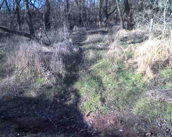 0 E Se 100 St, Kingman, KS 67068
