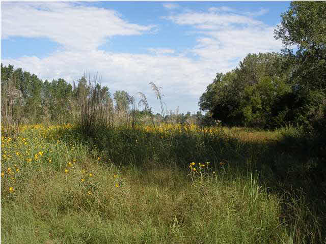 0 Jordan Springs And Parallel Rd, Turon, KS 67583