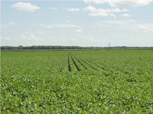 0 SW 155th, Augusta, KS 67010
