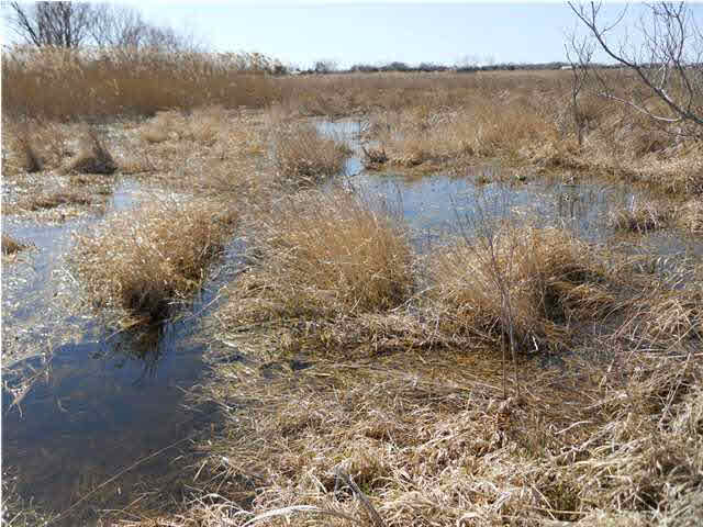 0 W Silver Lake Rd, Turon, KS 67583