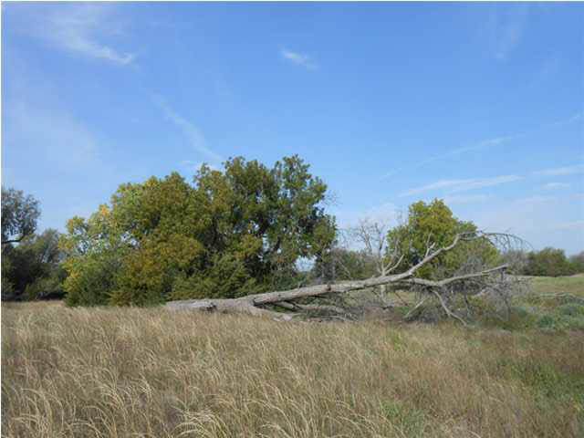 0 W Trail West Rd, Plevna, KS 67568