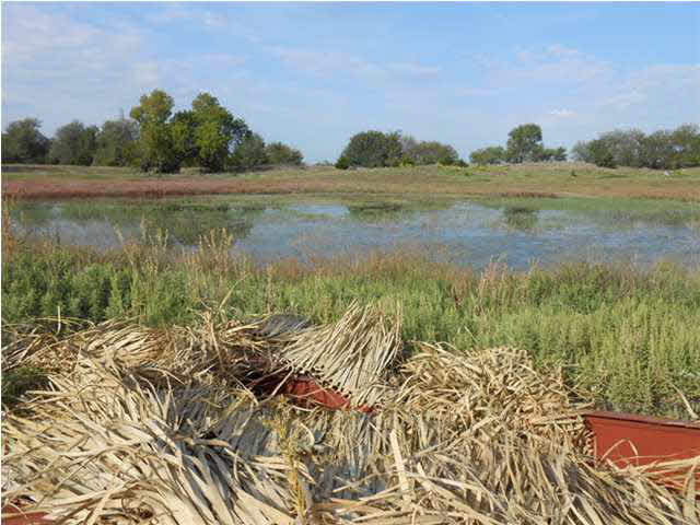 0 W Trail West Rd, Plevna, KS 67568