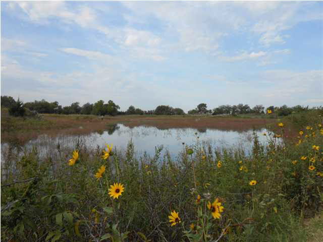 0 W Trail West Rd, Plevna, KS 67568