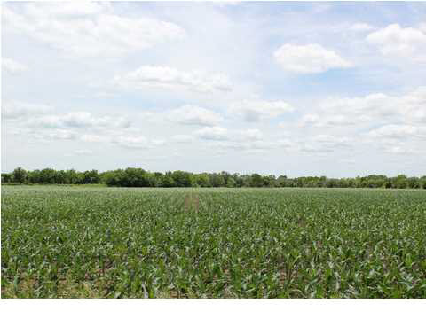 0 SE 20th St, Rosalia, KS 67132