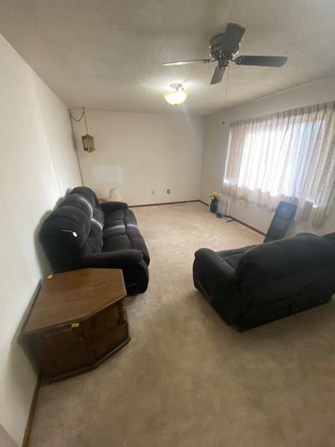 405 S Main, Ellinwood, KS 67526