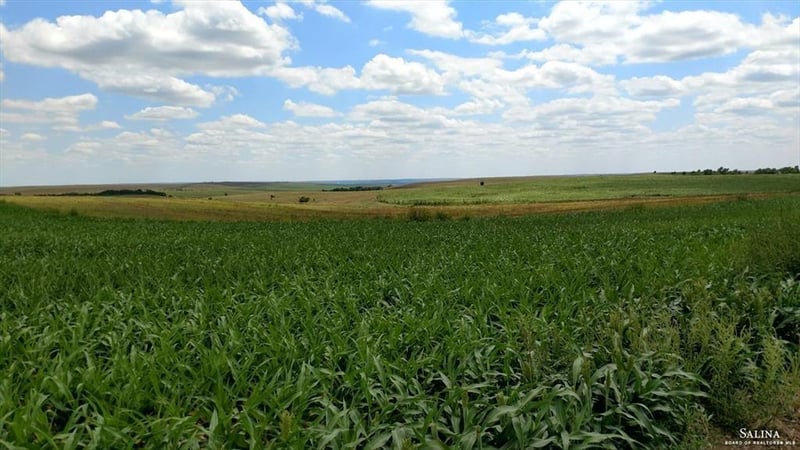 0 20 Th Rd, Sylvan Grove, KS 67481