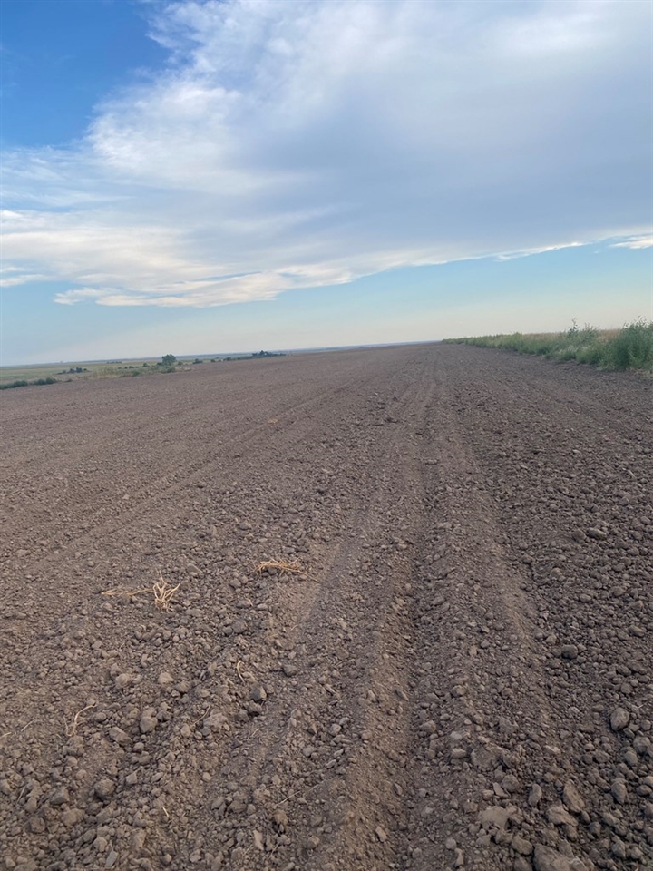 NW4 36-20-19 270th Ave, Larned, KS 67550