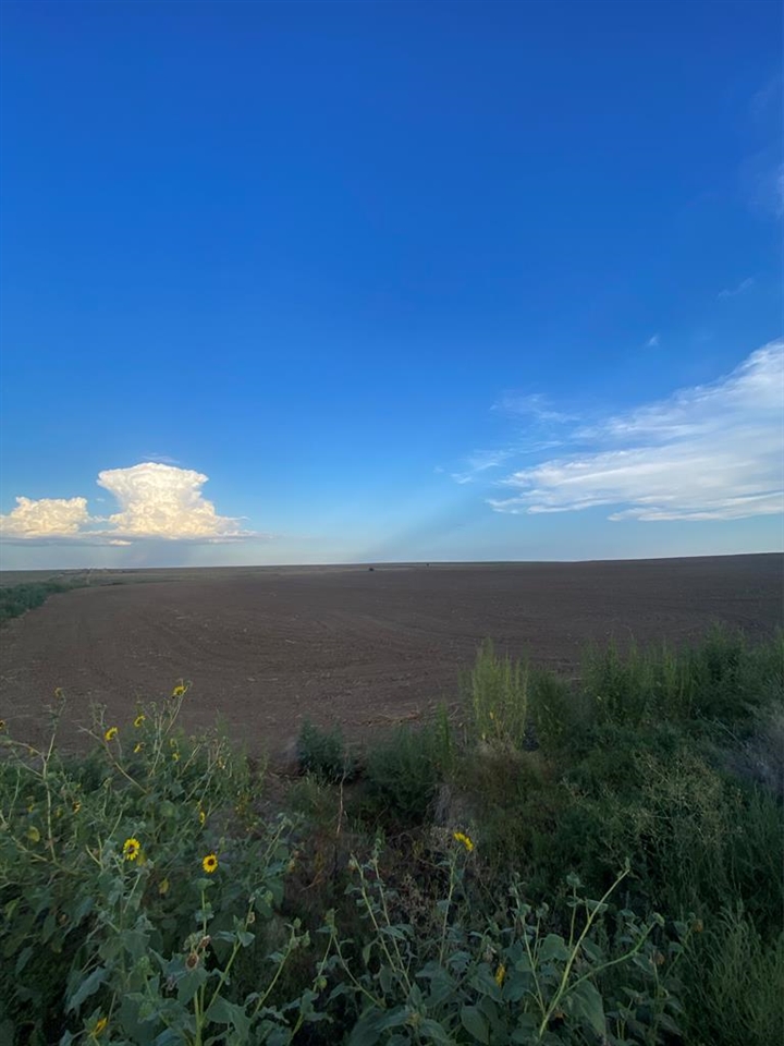 NW4 36-20-19 270th Ave, Larned, KS 67550