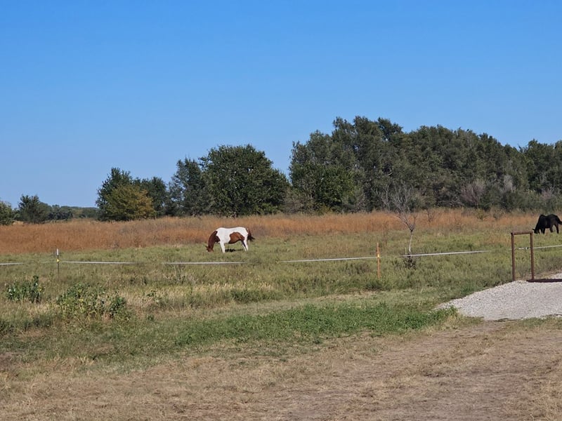 850 SE 20th Rd, Ellinwood, KS 67526