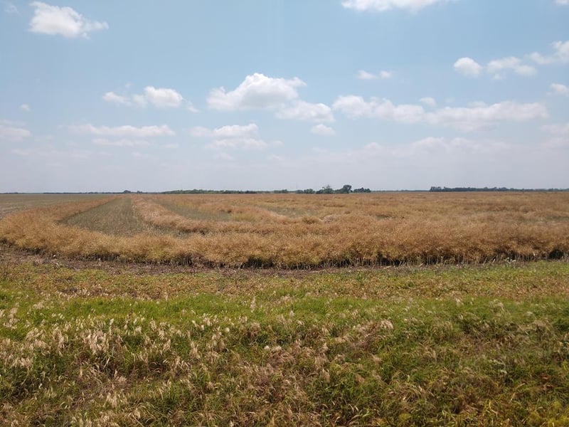0 W 180th St, Caldwell, KS 67022
