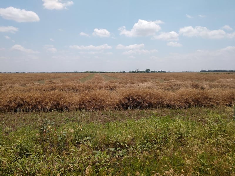 0 W 180th St, Caldwell, KS 67022