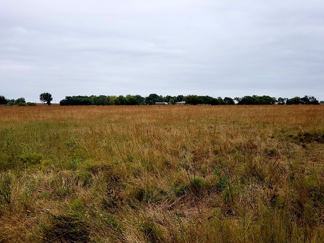 16675 SE Cole Creek Rd, Leon, KS 67074
