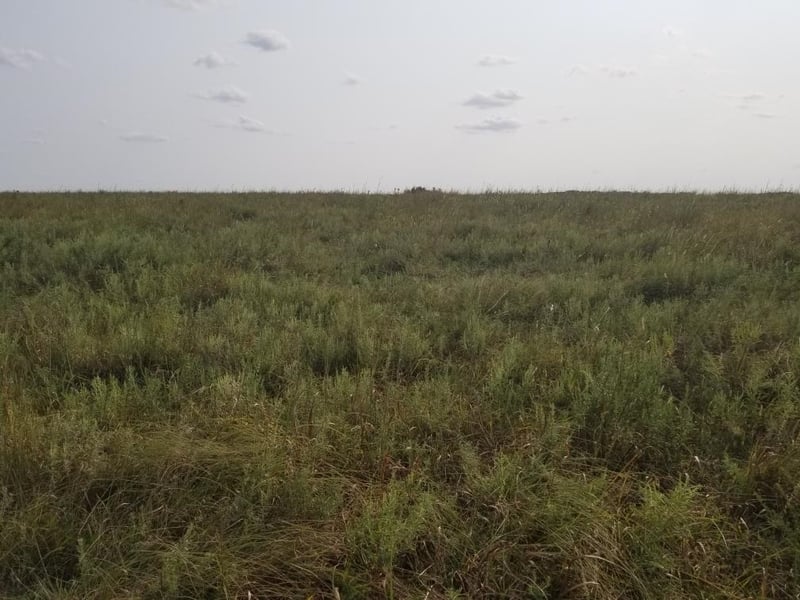00 266th, Dexter, KS 67038