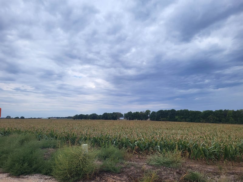 0000 Lot 1 Vineyard Terraces Phase 1- 37th and 215th, Colwich, KS 67030