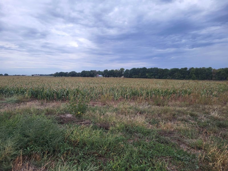 0000 Lot 1 Vineyard Terraces Phase 1- 37th and 215th, Colwich, KS 67030