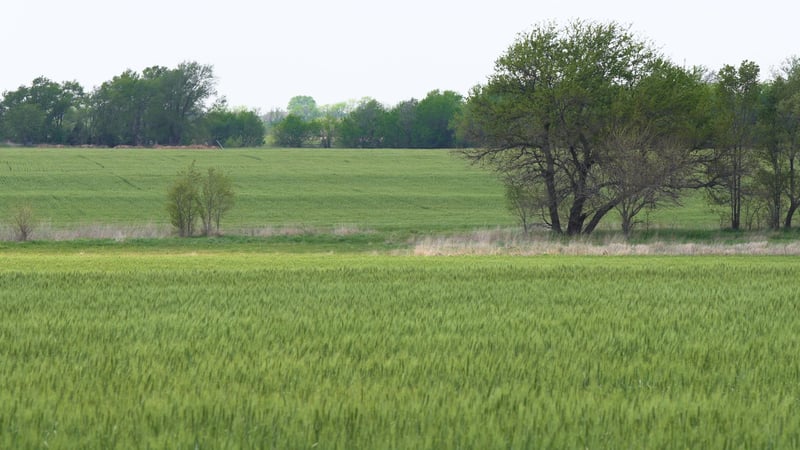 Lot 18 Block 3 Dry Creek Est, Goddard, KS 67052