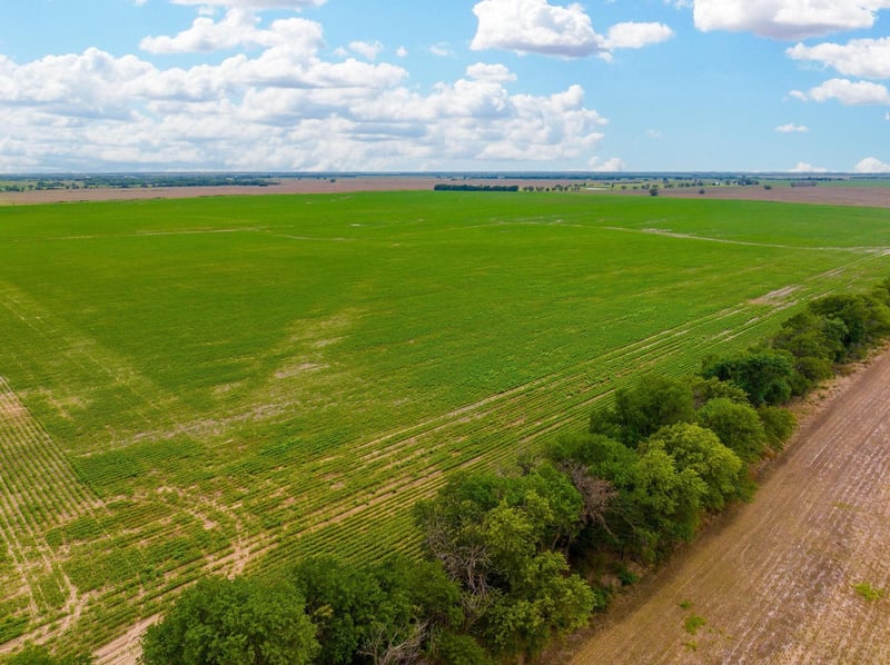 0 E 50th Ave N, Wellington, KS 67152