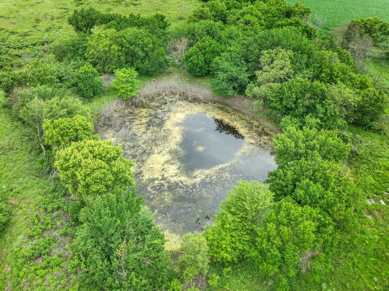 0 SE Munson Hill Rd, Leon, KS 67074