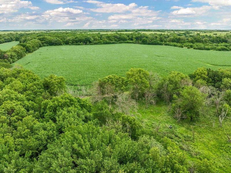 0 SE Munson Hill Rd, Leon, KS 67074