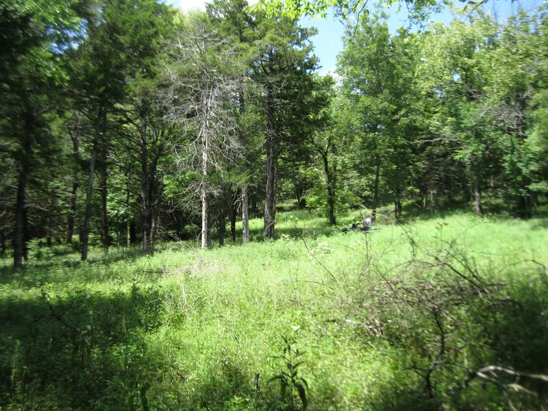 Quinter Rd, Altoona, KS 66710