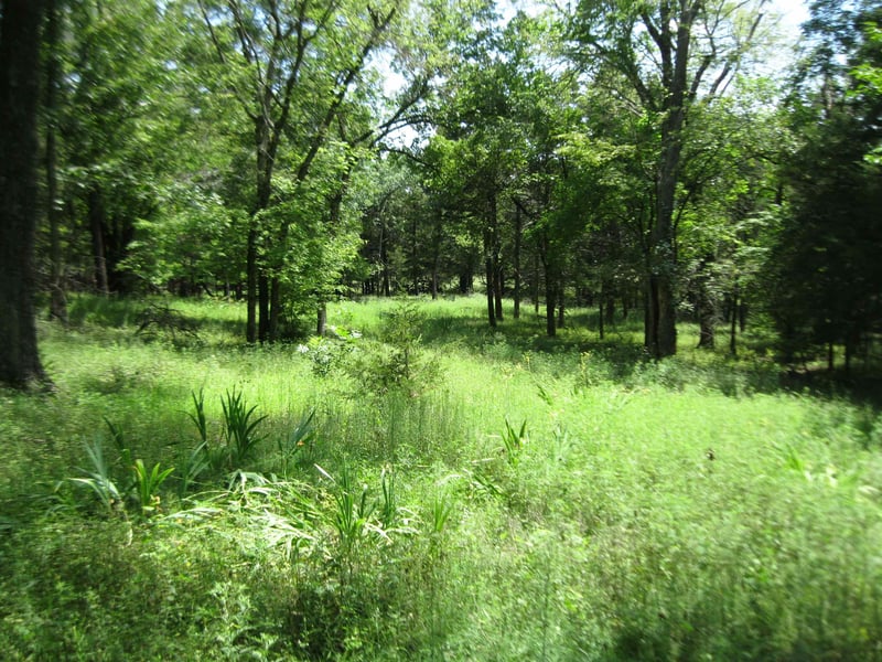 Quinter Rd, Altoona, KS 66710