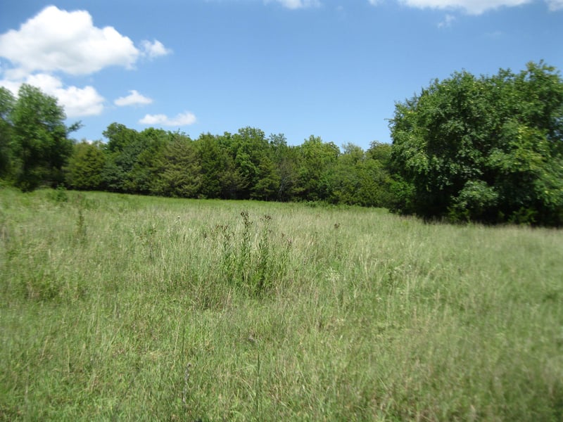 Quinter Rd, Altoona, KS 66710