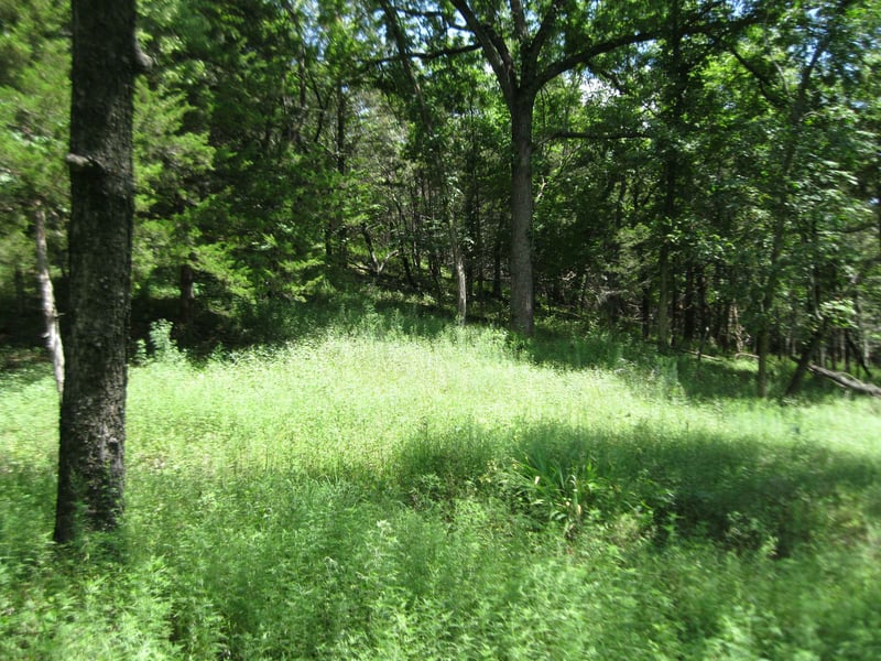 Quinter Rd, Altoona, KS 66710