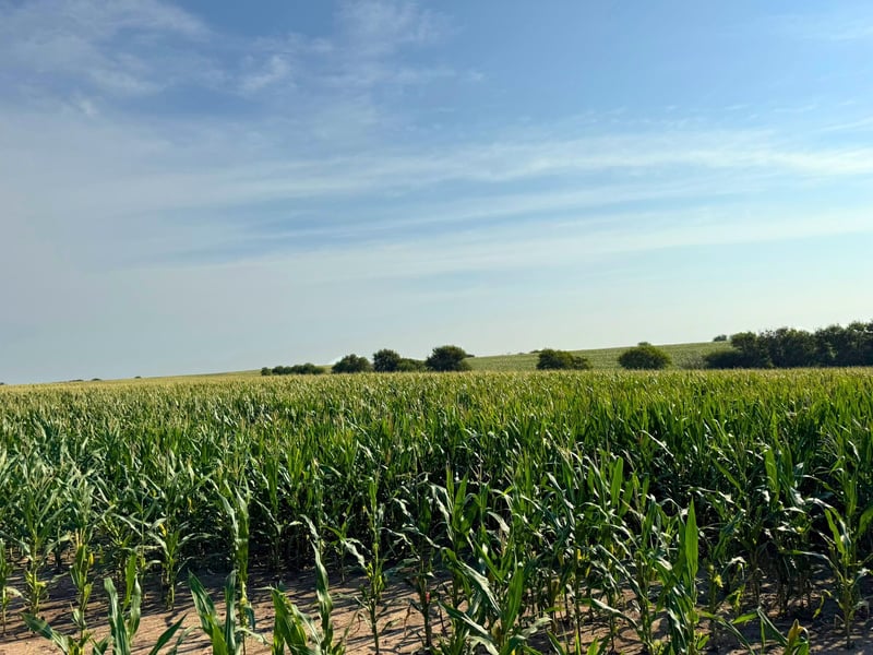 00000 Windmill Rd, Ada, KS 67467