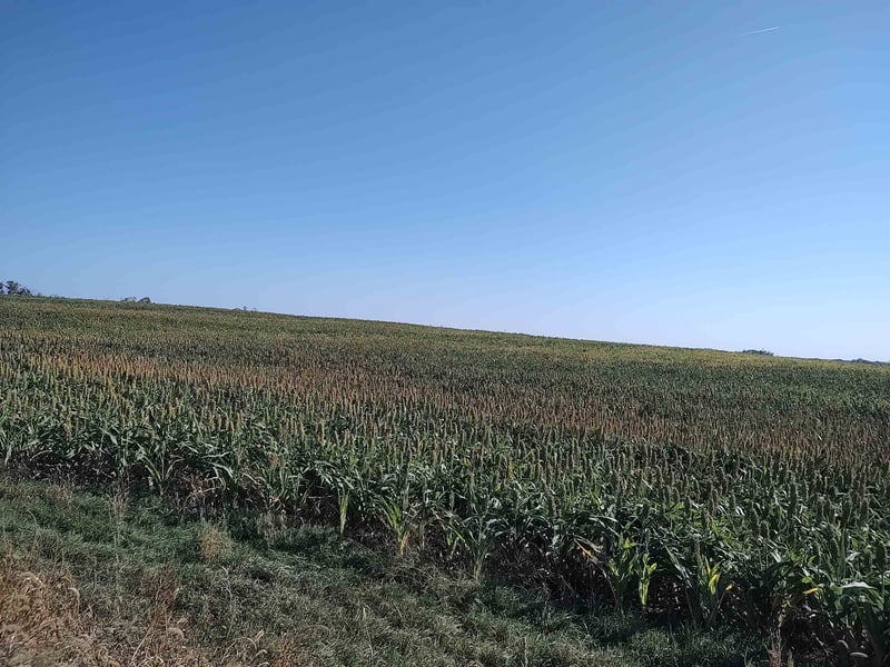 00000 E Wheat Dr, Sylvan Grove, KS 67481