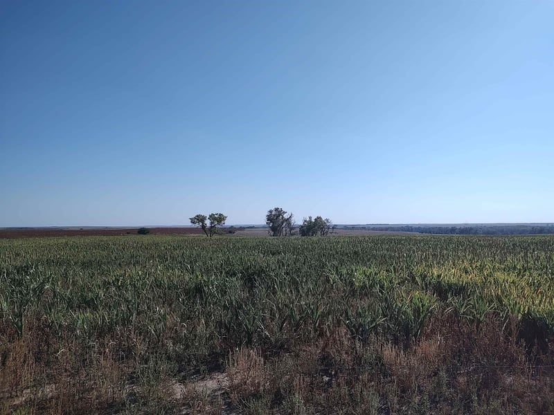 00000 E Wheat Dr, Sylvan Grove, KS 67481